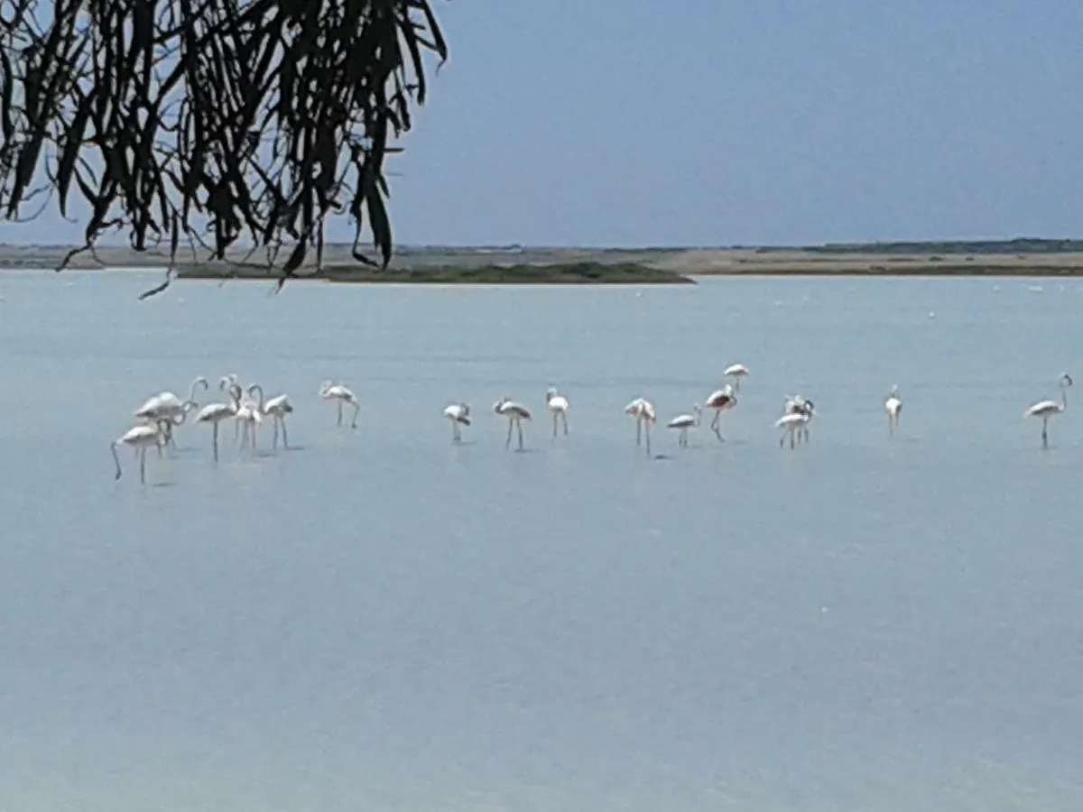 Vakantieboerderij Agriturismo La Mimosa Putzu Idu