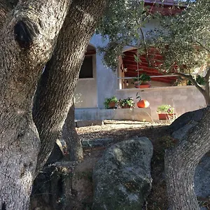  Vakantiehuis S'umbra De S'ozzastru
